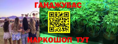 СК Кимры