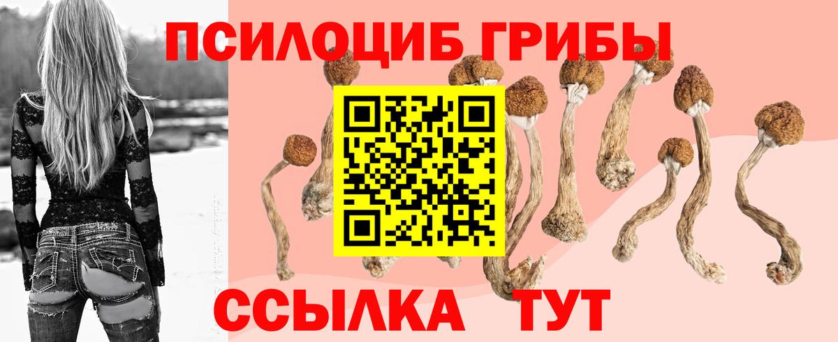 Галлюциногенные грибы мицелий Красногорск