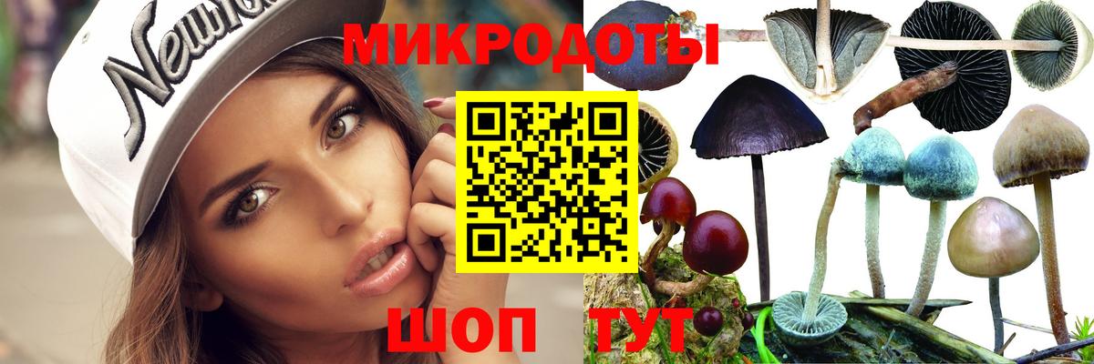 Красногорск  Псилоцибиновые грибы GOLDEN TEACHER  Вход с VPN 